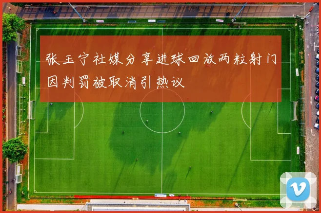 张玉宁社媒分享进球回放两粒射门因判罚被取消引热议