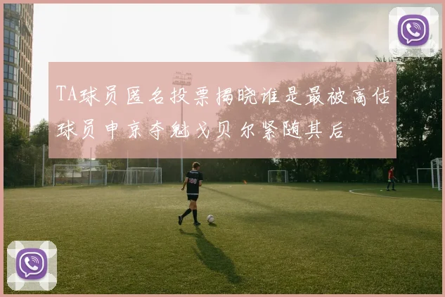 TA球员匿名投票揭晓谁是最被高估球员申京夺魁戈贝尔紧随其后